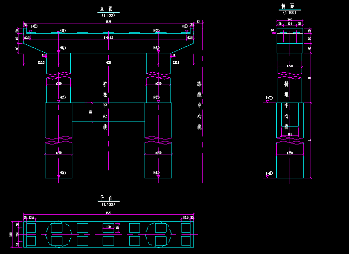 大桥桥墩钢筋CAD设计图纸2